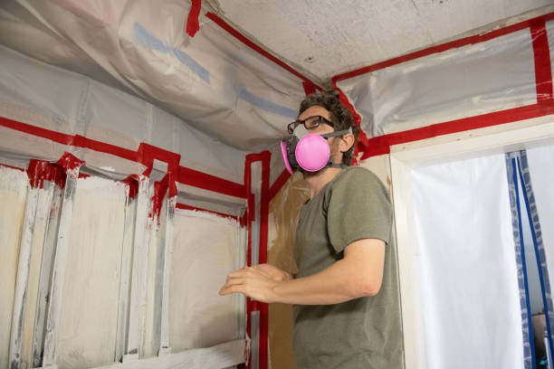 Mold Remediation for Vacation Homes in Bliss Corner, MA